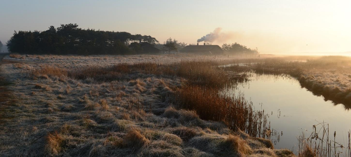 Læsø Saltsyderi i morgendis